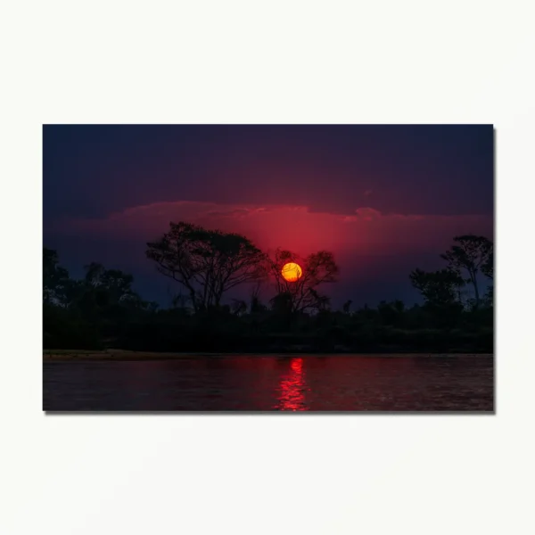 O Encanto do Pôr do Sol no Pantanal