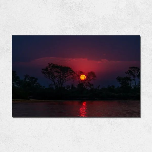 O Encanto do Pôr do Sol no Pantanal - Image 3