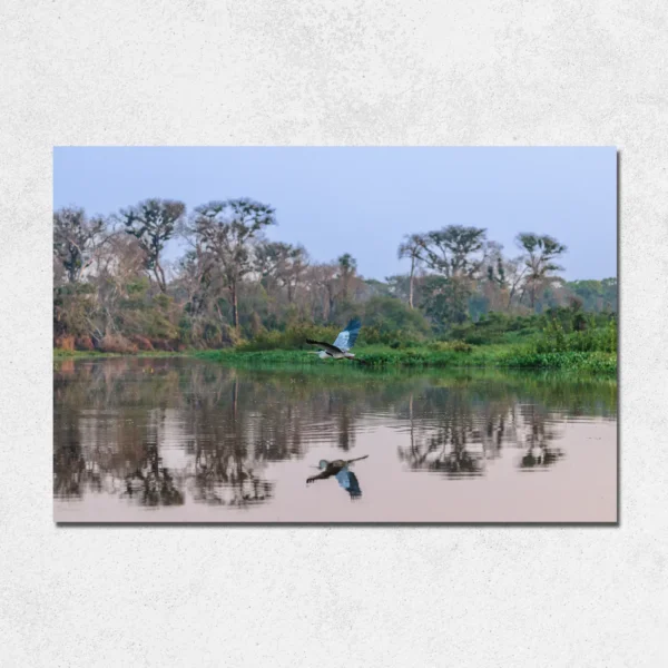 Voo Majestoso sobre o Rio Cuiabá - Image 3